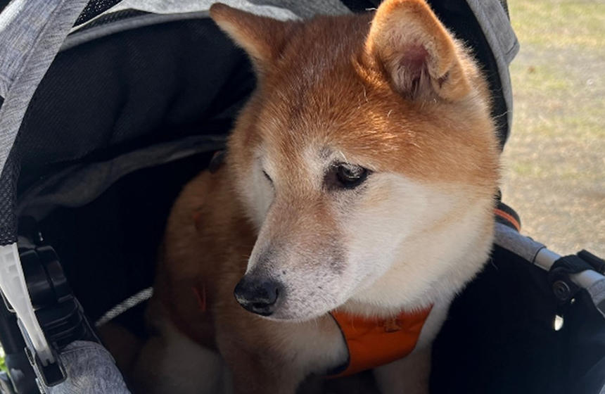 会話からなにかを察した様子。