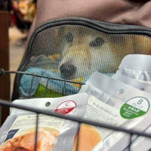 姿は隠していても、大好物のトッピングフレンドリーを飼い主がちゃんと買っているかのチェックはかかしません！