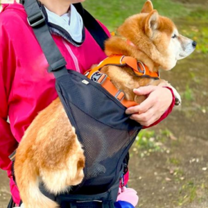 色々なタイプのアイテムを試してみると、飼い主も安心できますね。