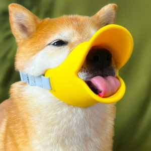 頑張って練習中。おやつ、おいし〜〜〜の顔。