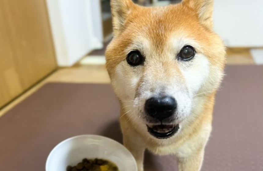 突然のご馳走WEEKにご機嫌さん。