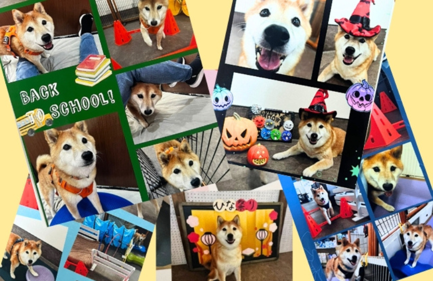 毎日、めちゃくちゃ笑顔の写真が添えられてきます。満喫しまくりやんか！