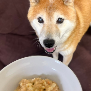 お皿に盛り付けてあげると、キラキラな瞳で飼い主の後をついて歩いてました 笑