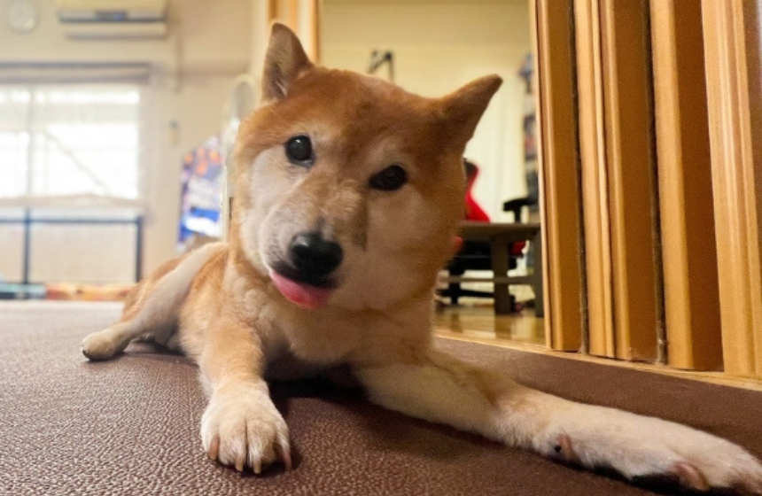 倒れてしばらくは、体が傾いた状態でした。