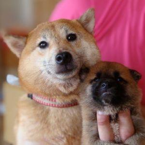 赤ちゃん時代に撮ったママとのツーショット。いつの間にやら、すっかりお母さん似になりました