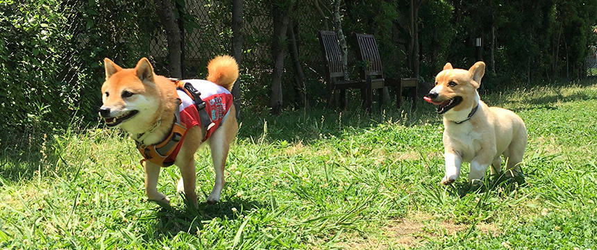 もしかしたら、気の合う友達と一緒にいたいだけなのかも。幼馴染といる時は本当に楽しそうなんですよね。