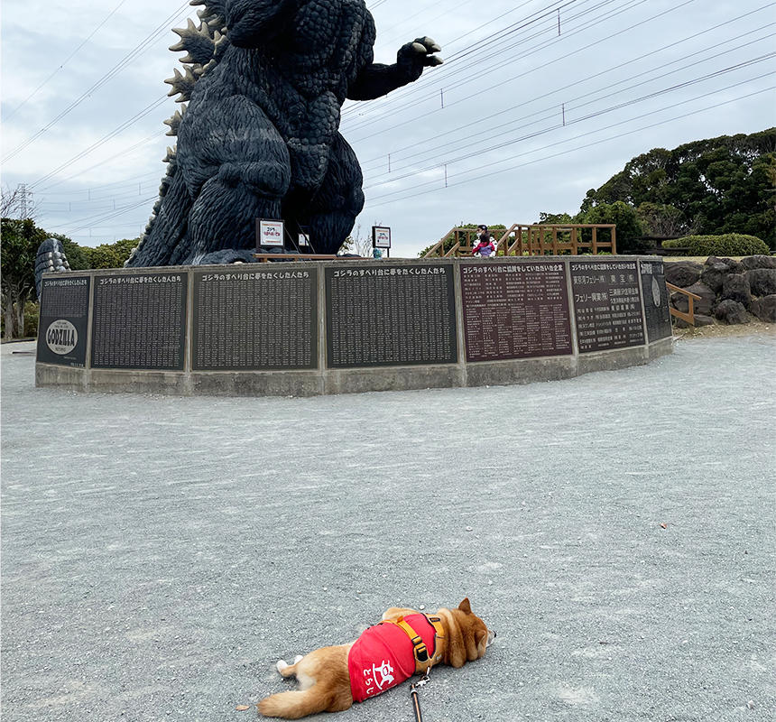 そんなところで寝てると、大怪獣にやられちゃうぞ～！……なんてことも知ったこっちゃないそうです。ハイ。