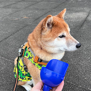 いつもの器がないと、食事はおろか、水も飲めなくなるという繊細さ…。おかげで大荷物です。