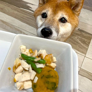 土砂降りの雨に早めの退散！大自然の驚異から逃げ延びて美味しいごはん。これはこれで喜んでいるようです。