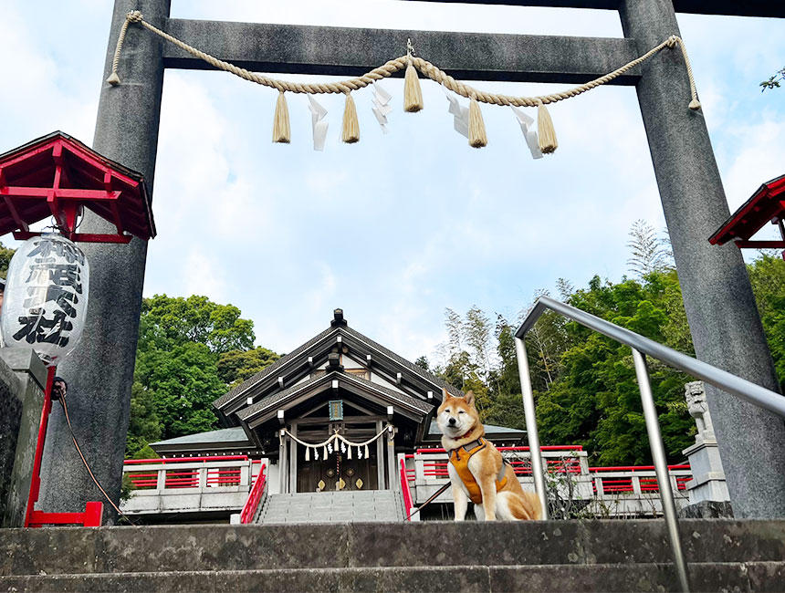 来年もよろしくお願いいたします。良いお年をお迎えください