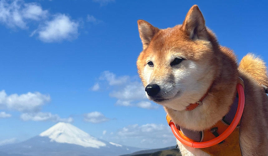 十国峠にも登ったよ。