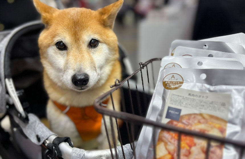 「今すぐ食べたい！」その集中力、別の時に発揮してちょうだいな。