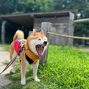 どこへ行っても、あつーい！