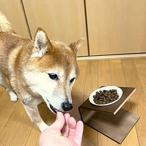 うわああ！いきなり食べたぁ！？…これにはびっくりです。