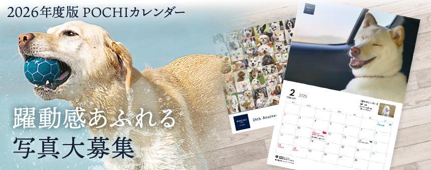 躍動感あふれる写真大募集！《POCHI 2026年度版カレンダー掲載》