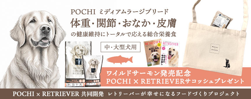 MLBキャンペーン