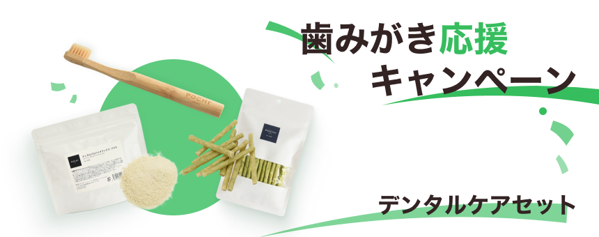 ボディヘルスキャンペーン