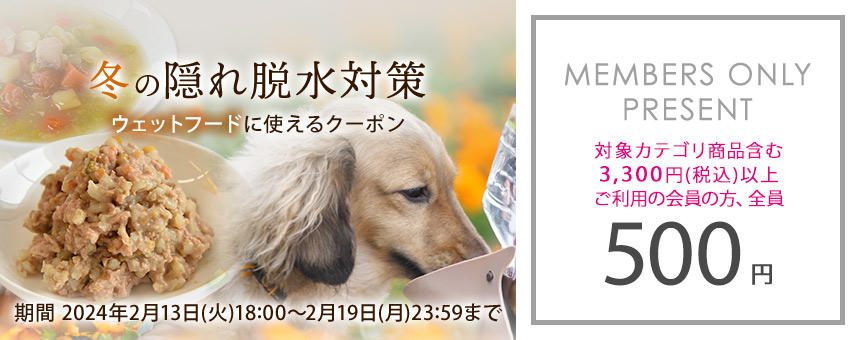 【終了】《冬の隠れ脱水対策》ウェットフードカテゴリで使える！500円クーポン