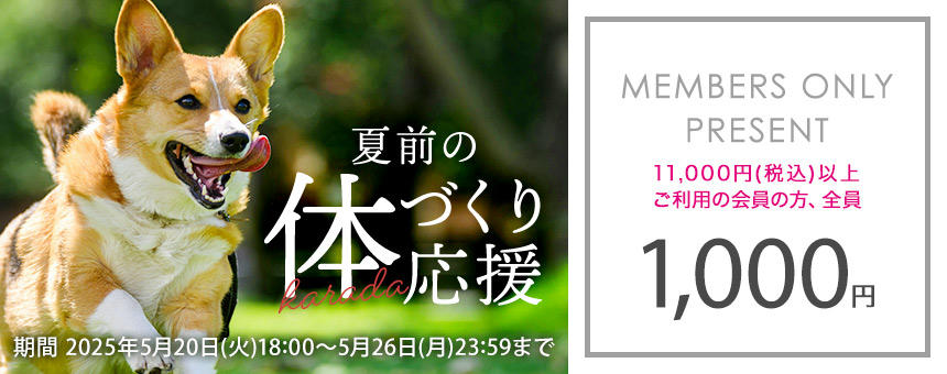 【終了】《5/26(月)23：59まで》夏前の体づくり応援1000円クーポンプレゼント！
