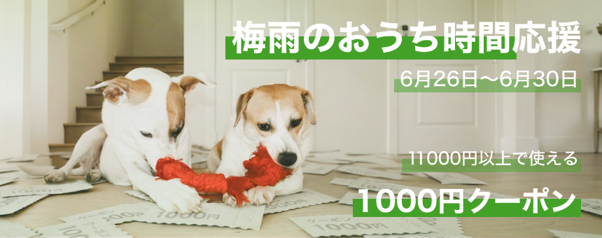 ポイントキャンペーン