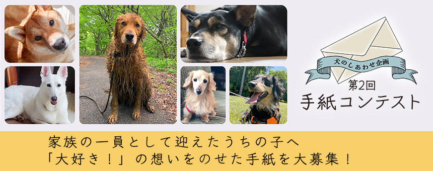 【終了】《犬のしあわせ企画》 あなたからうちの子への