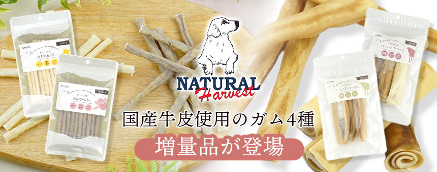《ナチュラルハーベスト》国産牛皮を使用したガム4種から数量限定増量品が登場！