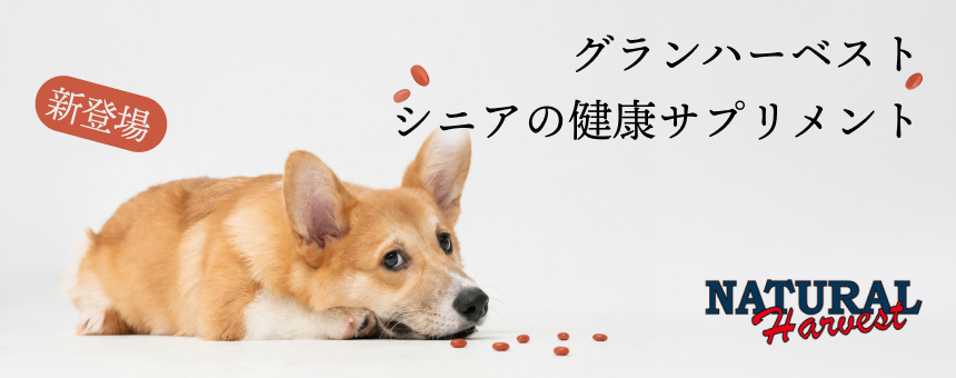 1000ポイント還元