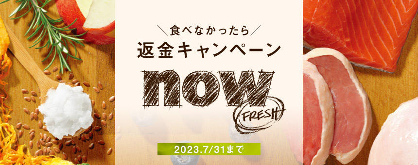 【終了】《ナウフレッシュ》おいしさ保証！「食べなかったら」返金キャンペーン開催