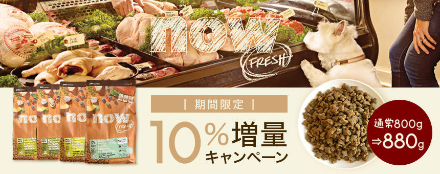 【終了】《ナウフレッシュ》食欲の秋！数量限定10%増量キャンペーン