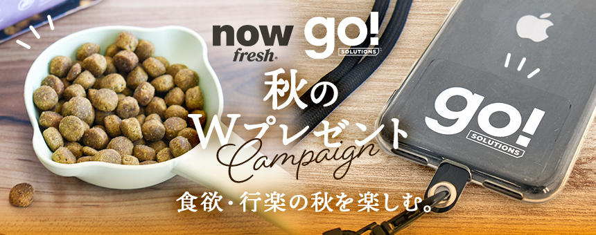 《秋のWプレゼントキャンペーン》NOW・GO!ブランドオリジナルグッズ先着300名様プレゼント