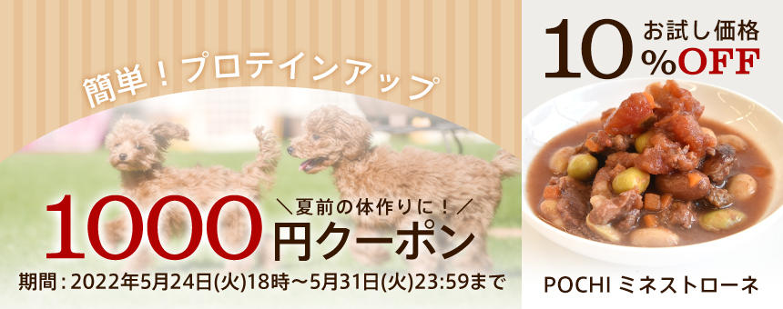 【終了】《簡単！プロテインアップvol,2》夏前の体作り応援1000円クーポン＆ミネストローネお試し価格10%オフ