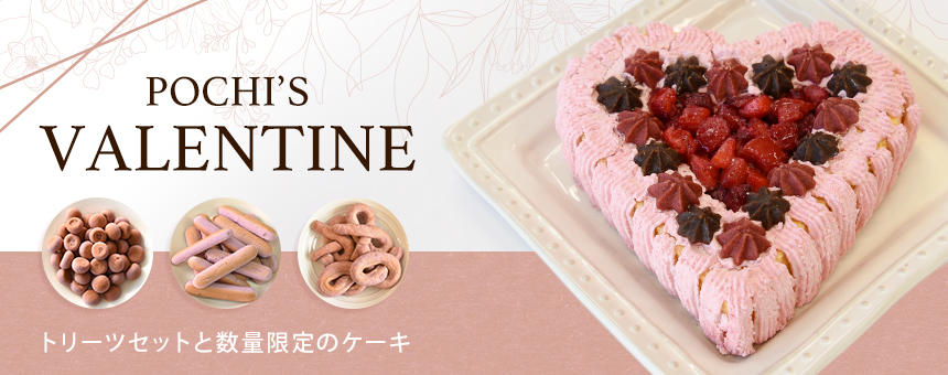 【完売】《ポチのバレンタイン》バレンタインケーキ＆エコバック付きのトリーツセット