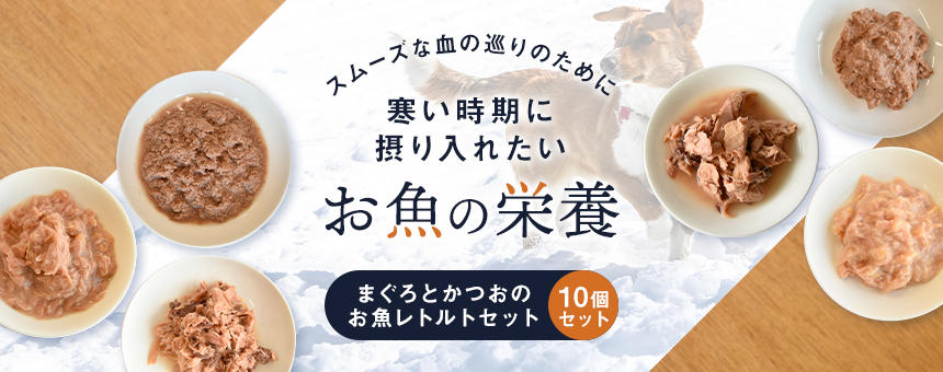 【完売】《季節のお買い得》いちばん寒い時期に摂り入れたいお魚の栄養～お魚レトルトセット～