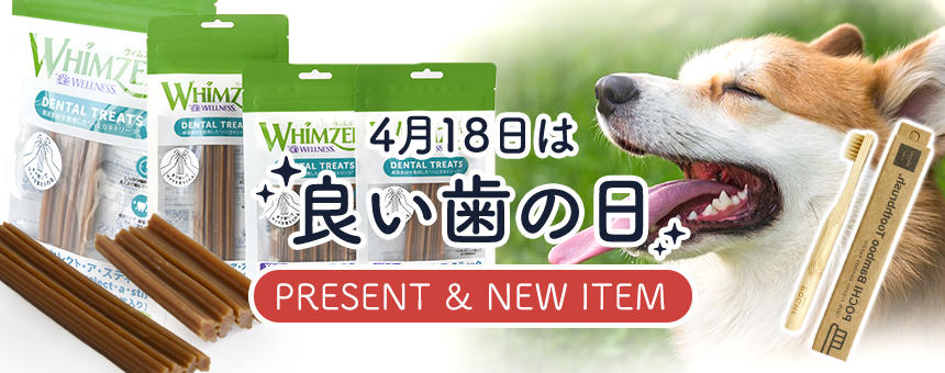 【終了】4月18日は「良い歯の日」！先着1000名さまに「竹歯ブラシ」プレゼント＆ウィムズィーズ新商品をご紹介