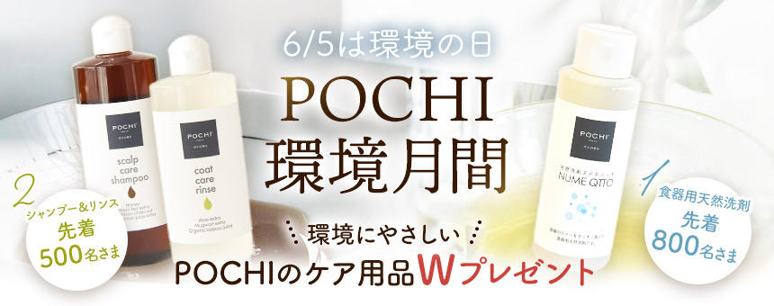 【終了】《POCHI環境月間》6月5日は環境の日、環境にやさしいケア用品Wプレゼントキャンペーン！