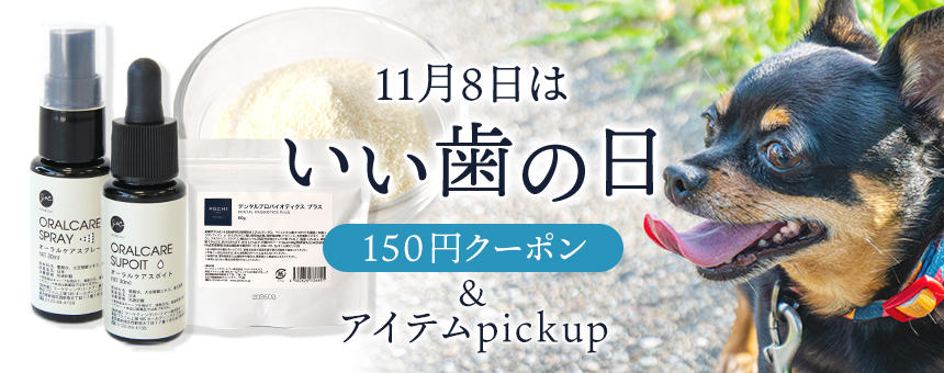 【終了】11月8日は「いい歯の日」！対象商品に使える150円クーポン＆デンタルケアアイテムpickup