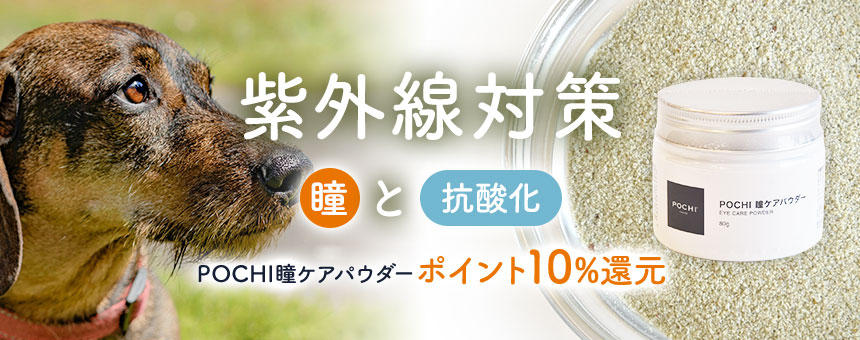※終了《紫外線対策～瞳と抗酸化～》紫外線に負けない身体へ、「POCHI瞳ケアパウダー」ポイント10%還元