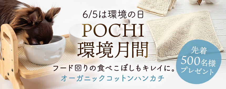 【※終了】《POCHI環境月間》先着500名様！清潔をキープする、オーガニックコットンハンカチプレゼント