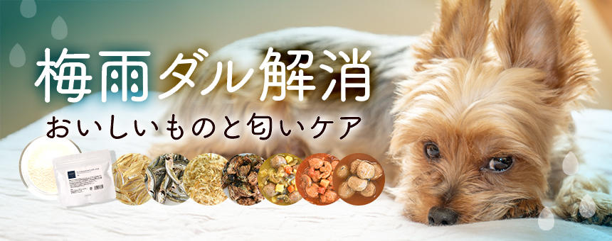 【※終了】《梅雨ダル解消vol,1》～おいしいものと匂いケア～入梅イワシセットとポイント10倍アイテムのご紹介。