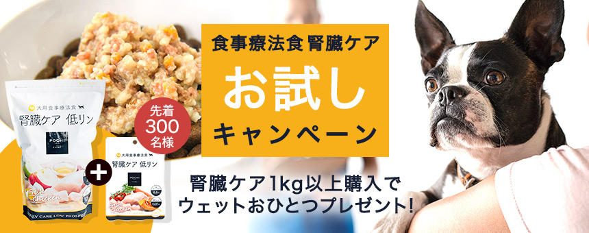 【※終了】《POCHI》食事療法食腎臓ケアお試しキャンペーン！先着300名様に腎臓ケアウェットプレゼント