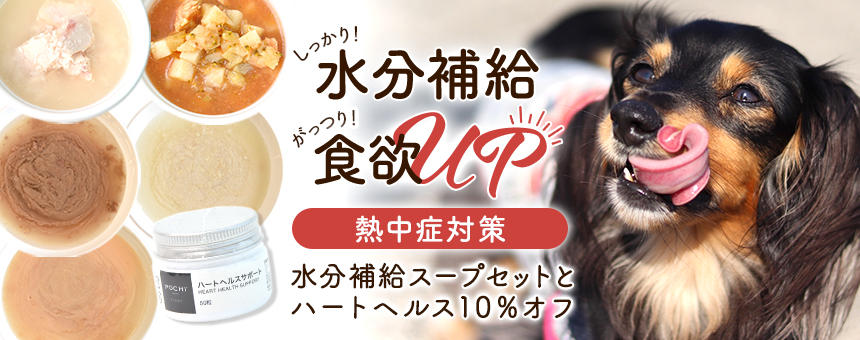 ※終了《熱中症対策 》しっかり水分がっつり食欲アップ！水分補給スープセット＆ハートヘルスサポート10％オフ