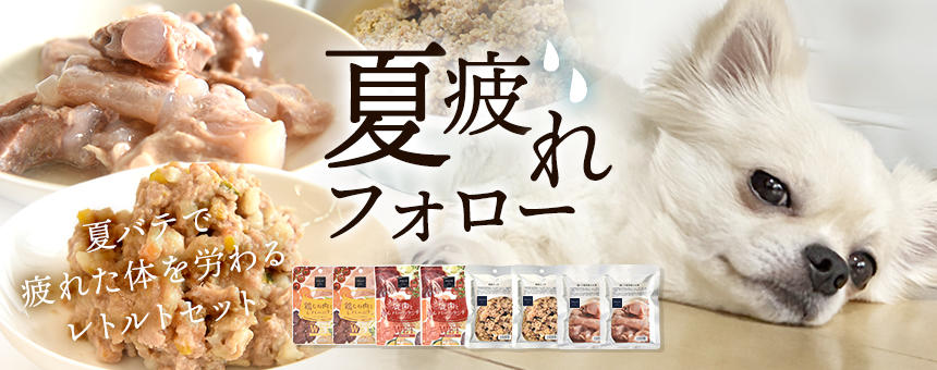 ※完売《夏疲れフォロー》夏疲れ気味の犬たちの元気を取り戻すレトルトセットのご紹介
