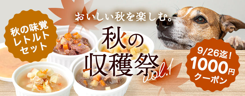 【※終了】《秋の収穫祭vol.1》おいしい秋を楽しむ1000円クーポン＆秋の味覚レトルトセットのご紹介