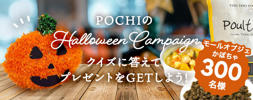 《POCHIのハロウィン2025第1弾》クイズに答えてプレゼントGET！