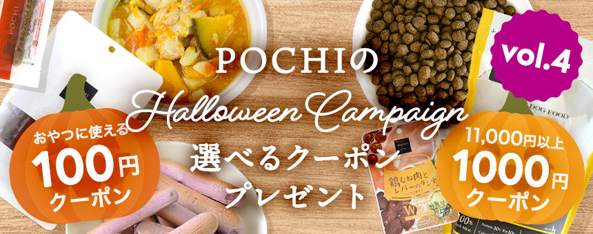 《ポチのハロウィン2025第4弾》2種類の選べるハロウィンクーポンプレゼント！