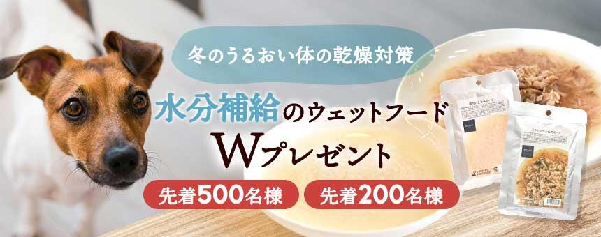 ウェットWプレゼント