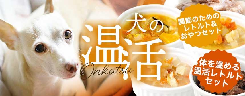 《犬の温活》ぽかぽか体を温め関節を労わる特別なセット2種をご紹介