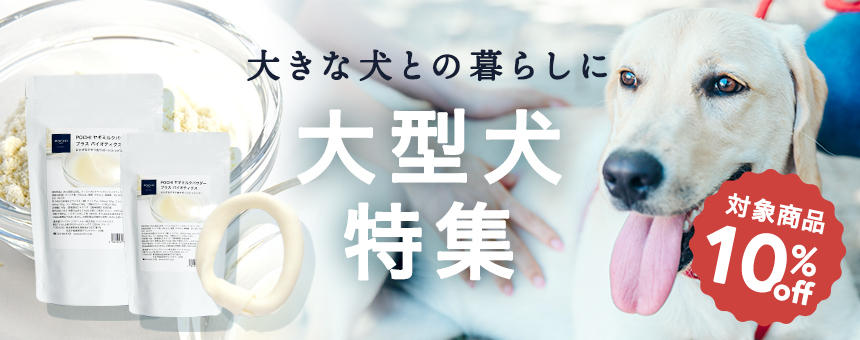 大型犬
