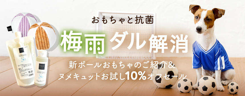 梅雨ダル