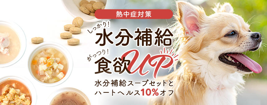 水分補給